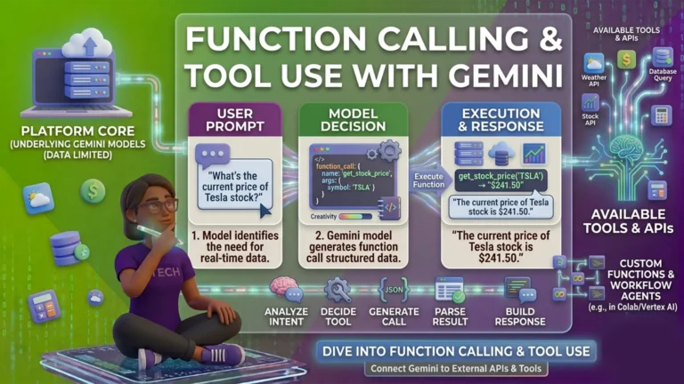 Function Calling
